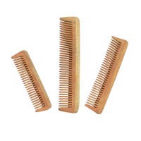 Natural Neem Wood Comb Combo for Travel