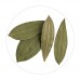 Green Sense Organic Bay Leaf/Tejpatta - 50 GMS