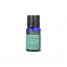 Omved Sushwasa Pure Breathe Diffuser Oil - 8 ML